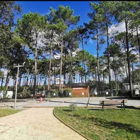 Neuf 2022, 6-8 personnes, piscine, vacancesdenani Saint-Julien-en-Born Extérieur photo